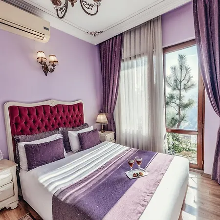 Hotel Olive Garden Istanbul