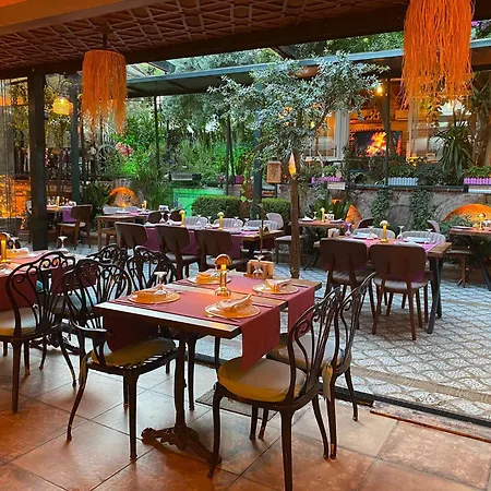 Hotel Olive Garden Istanboel