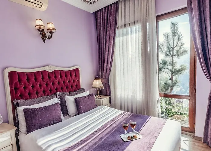 Hotel Olive Garden Istanboel