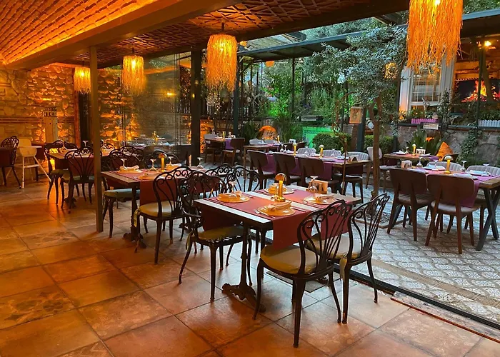 Hotel Olive Garden *