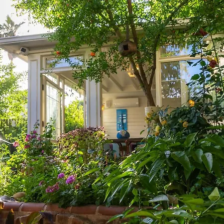 Olive Garden * İstanbul